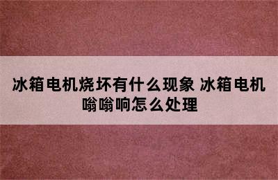 冰箱电机烧坏有什么现象 冰箱电机嗡嗡响怎么处理